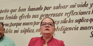 Ayuntamiento de Xalapa responde a la desinformación con trabajo y resultados: Daniela Griego
