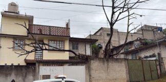 Reportan caída de árboles y encharcamientos por lluvias en Xalapa