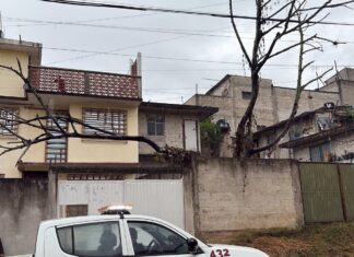 Reportan caída de árboles y encharcamientos por lluvias en Xalapa