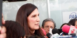 López Rabadán pide blindar libertad de expresión e incluir a mañaneras en consulta sobre audiencias