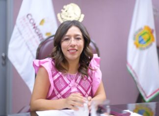 Castigar penalmente el envenenamiento de animales, plantea diputada #Veracruz