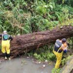 Atiende Gobierno de Veracruz incidencias por lluvias y refuerza prevención