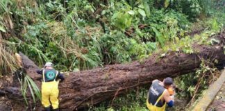 Atiende Gobierno de Veracruz incidencias por lluvias y refuerza prevención