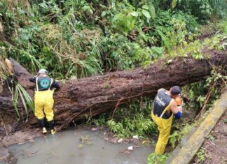 Atiende Gobierno de Veracruz incidencias por lluvias y refuerza prevención