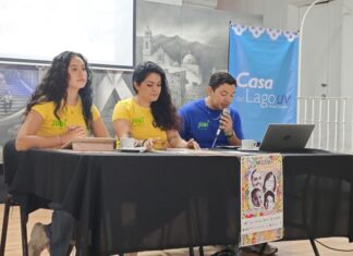 Festival Sembrartes Neurodivergentes 2026 nace de la experiencia de madres neurodivergentes y cuidadoras.