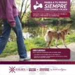 Exhorta Ayuntamiento de Xalapa a pasear a los perros con correa para fomentar la tenencia responsable.