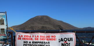 Pese a la oposición indígena, la presidenta Sheinbaum respalda planta de amoniaco en Sinaloa