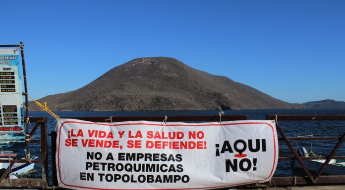 Pese a la oposición indígena, la presidenta Sheinbaum respalda planta de amoniaco en Sinaloa