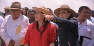 Veracruz destinará recursos para elevar a 7 mil pesos el pago por tonelada de maíz: Gobernadora