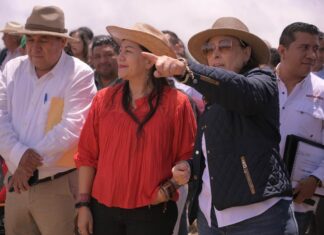 Veracruz destinará recursos para elevar a 7 mil pesos el pago por tonelada de maíz: Gobernadora