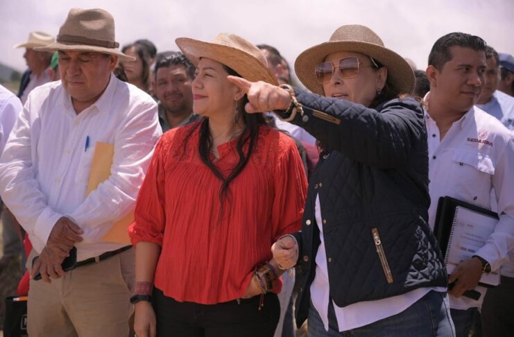 Veracruz destinará recursos para elevar a 7 mil pesos el pago por tonelada de maíz: Gobernadora