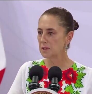 Claudia Sheinbaum reporta al momento saldo blanco por fuerte sismo en Chiapas.
