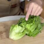 Retiran lechuga mexicana en EU por casos de ciclosporiasis