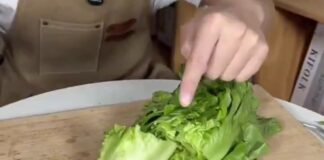Retiran lechuga mexicana en EU por casos de ciclosporiasis