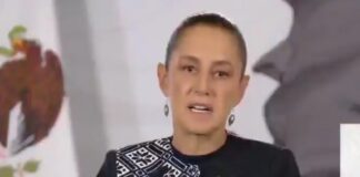 Decreto buscará cerrar que dependencias reserven información de manera discrecional, anuncia Sheinbaum