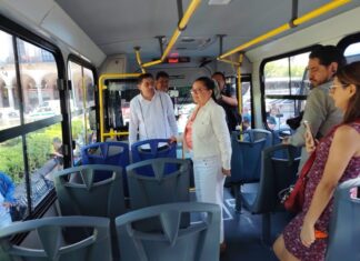 Xalapa fortalecerá la movilidad con transporte incluyente y coordina llegada de nuevas unidades estatales: Daniela Griego