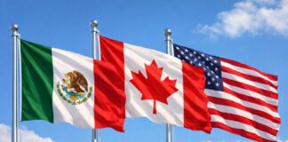 Estados Unidos decide no renovar el T-MEC. Mira lo que pasará