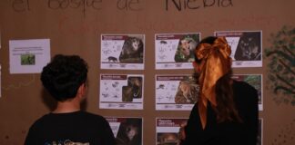 Promueve SECVER talleres gratuitos para toda la familia en la 36.ª FNLIyJ