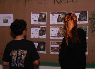 Promueve SECVER talleres gratuitos para toda la familia en la 36.ª FNLIyJ