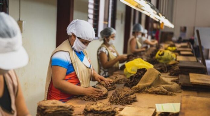 Crece el empleo de las mujeres, sin acceso a seguridad social ni prestaciones