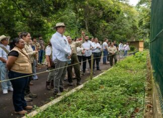 UMA Naturalia promueve modelo integral de atención y manejo de fauna silvestre