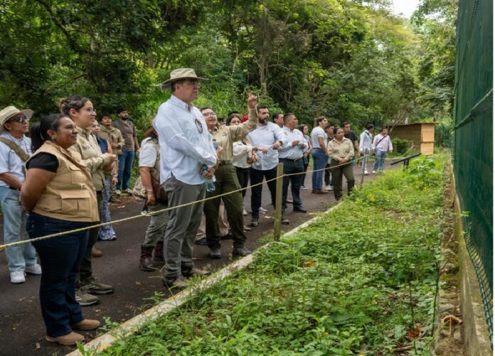 UMA NATURALIA VERACRUZ