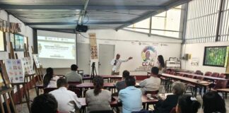 Participan docentes y líderes comunitarios de Veracruz en talleres de capacitación lingüística