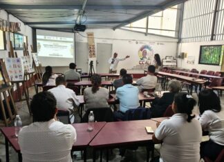 Participan docentes y líderes comunitarios de Veracruz en talleres de capacitación lingüística
