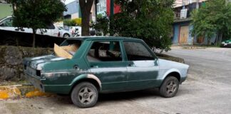 Xalapa registra 160 reportes de “autos maceta”; 60 ya fueron retirados
