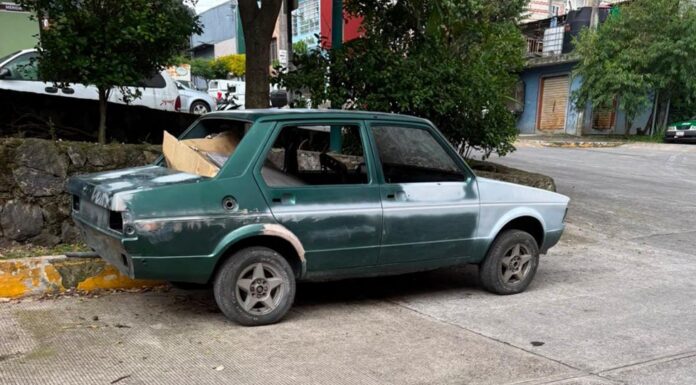 Xalapa registra 160 reportes de “autos maceta”; 60 ya fueron retirados