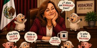 PUROS BORREGAZOS CONTRA LA GOBERNADORA NAHLE, LA MUJER LÍDER DEL MOVIMIENTO TRANSFORMADOR EN VERACRUZ