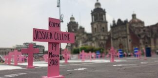 OCNF pide abrir diálogo sobre la Ley General de Feminicidio y advierte riesgos de aprobarla sin especialistas