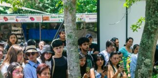Más de mil asistentes participan en festival dedicado a la conservación de la vida silvestre