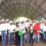 Con apoyo del Estado, inició en Tantoyuca el Tianguis Ganadero con más de 200 ejemplares exhibidos