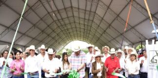Con apoyo del Estado, inició en Tantoyuca el Tianguis Ganadero con más de 200 ejemplares exhibidos