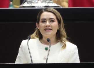 México queda a deber en protección de mujeres: diputada del PRI