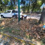 Ayuntamiento exhorta a reportar acumulación de basura y hojarasca para su atención oportuna