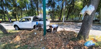 Ayuntamiento exhorta a reportar acumulación de basura y hojarasca para su atención oportuna