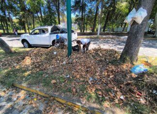 Ayuntamiento exhorta a reportar acumulación de basura y hojarasca para su atención oportuna
