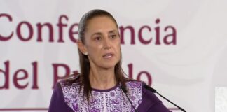Presidenta Sheinbaum califica de “feminicida” a Cerimedo y exhibe operación de noticias falsas de La Derecha Diario