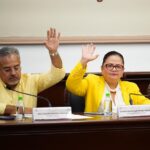 Cabildo impulsa reforma al reglamento de protección y bienestar animal
