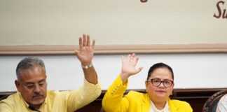 Cabildo impulsa reforma al reglamento de protección y bienestar animal