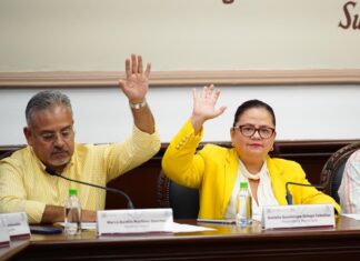 Cabildo impulsa reforma al reglamento de protección y bienestar animal