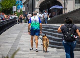 Por periodo canicular, Ayuntamiento de Xalapa emite recomendaciones preventivas