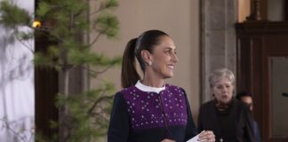 Próximo 9 de agosto inicia Jornada Nacional de Reforestación: Presidenta Sheinbaum
