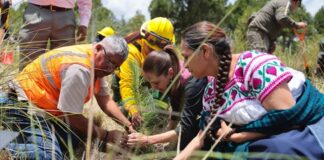Presidenta Claudia Sheinbaum encabeza inicio de la Jornada Nacional de Reforestación 2026