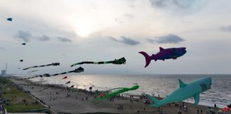 Papalotes gigantes llenan de color el cielo de Coatzacoalcos en el Festival del Mar
