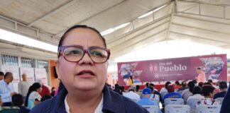 Árboles en escuelas serán revisados con dictámenes técnicos: Daniela Griego