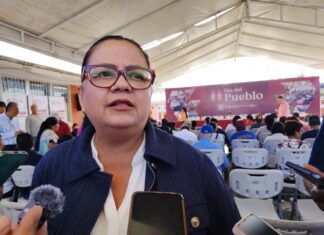 Árboles en escuelas serán revisados con dictámenes técnicos: Daniela Griego