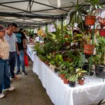 Emprendedores de Xalapa ofrecen sus mejores productos en el Mercadito Bicentenario